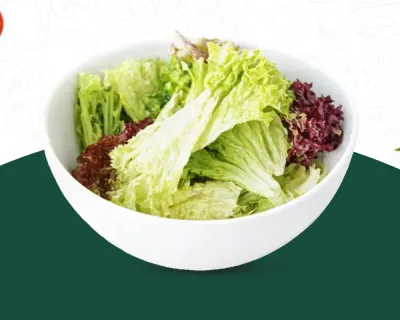 Feuilles de salade 상추